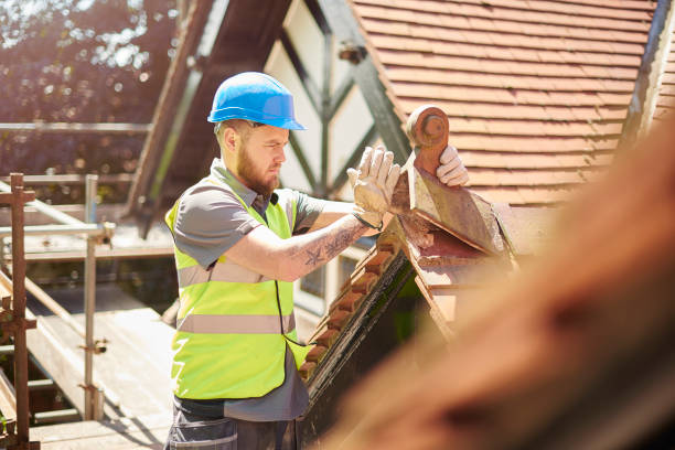 Best Metal Roofing Contractor  in Woodlake, VA